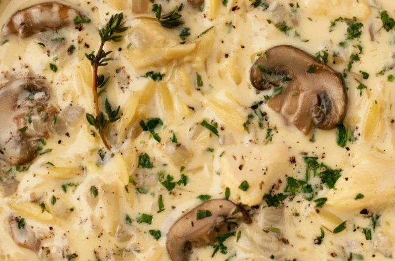 Bowl of creamy chicken soup with Boursin cheese, garnished with herbs.